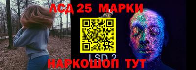 mdpv Заводоуковск