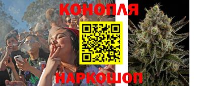 прущие грибы Жуковский