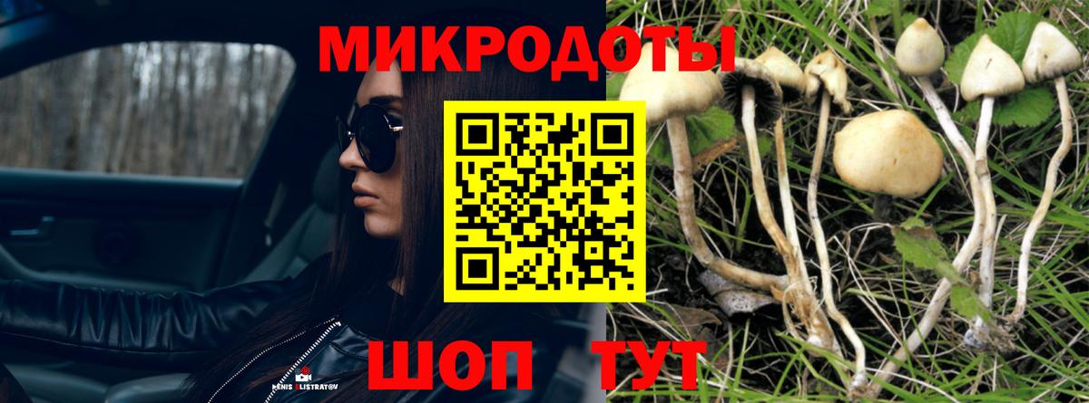 Псилоцибиновые грибы мицелий  Вход с VPN  Лыткарино  Галлюциногенные грибы Psilocybine cubensis 